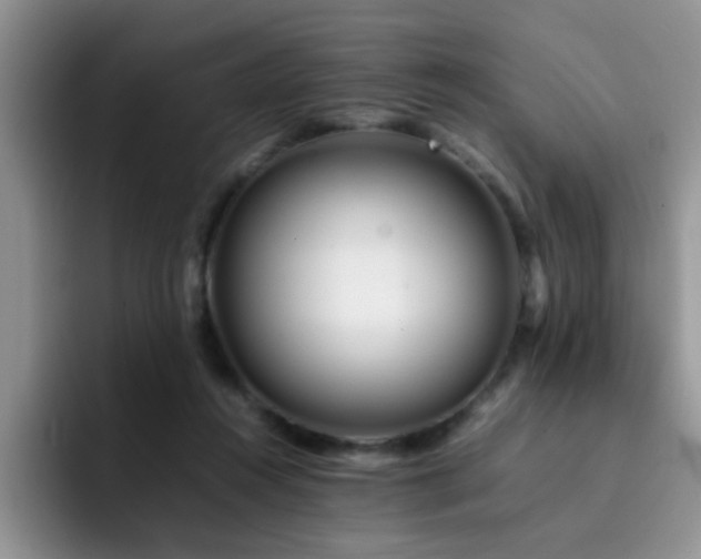 X0000092230360200709141110