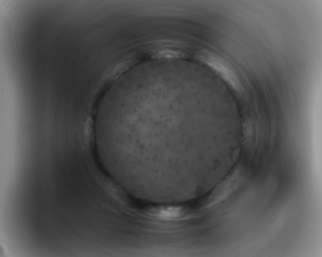 X0000092230361200709141110