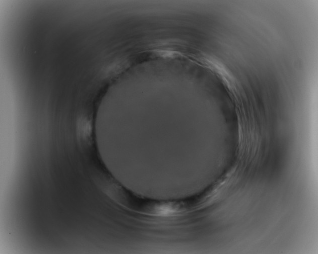 X0000092230365200709141110