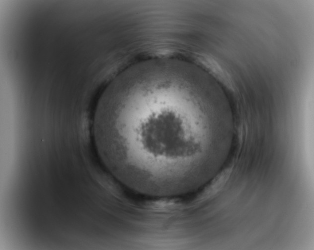 X0000092230366200709141110