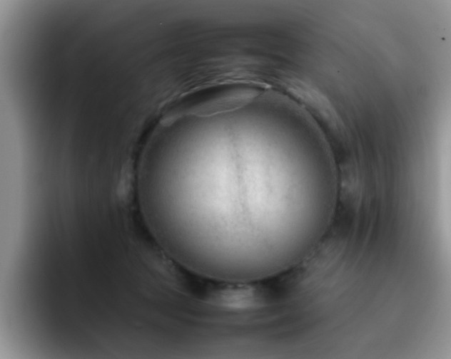 X0000092230369200709141110