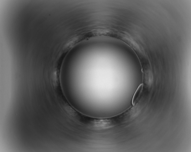 X0000092230378200709141110