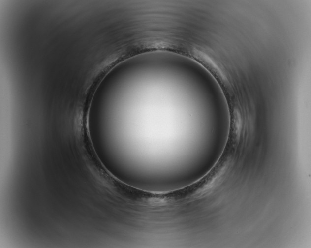 X0000092230394200709141109