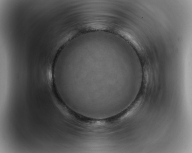 X0000092230398200709141109
