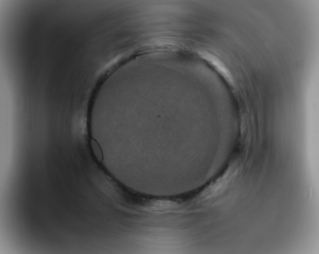 X0000092230399200709141109