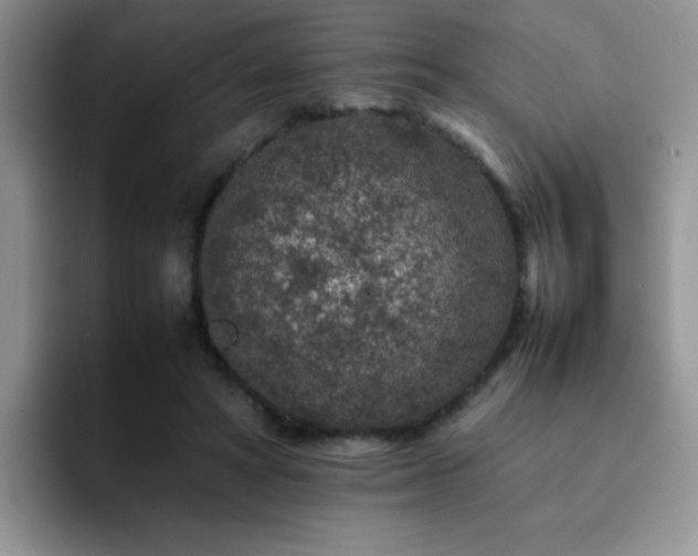 X0000092230402200709141109