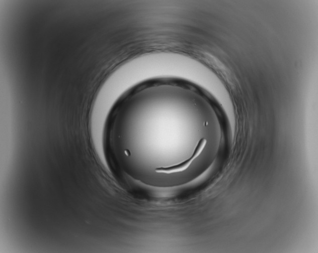 X0000092230405200709141109