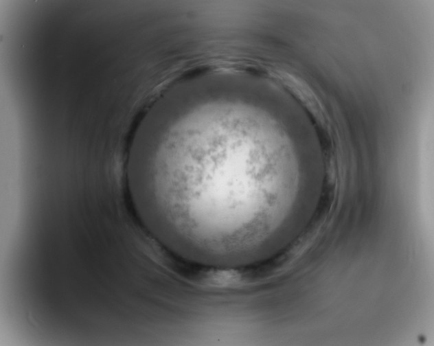 X0000092230409200709141109