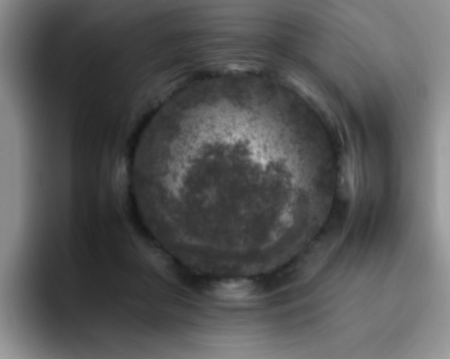 X0000092230410200709141109