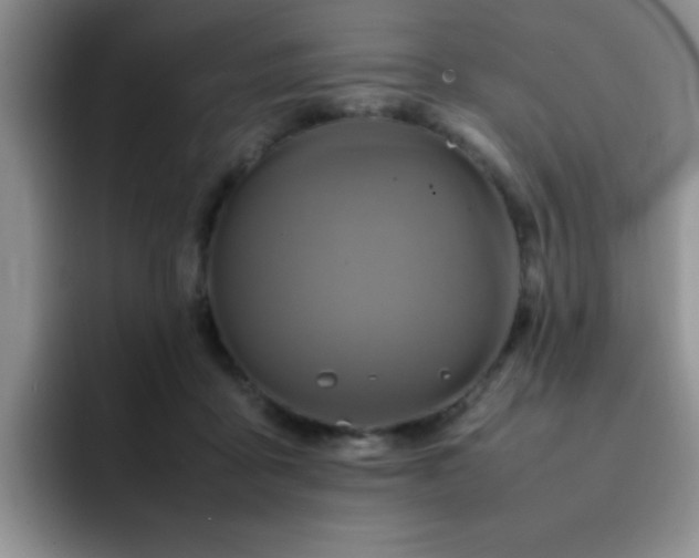 X0000092230411200709141109