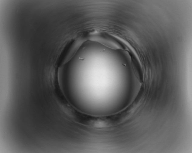 X0000092230412200709141109