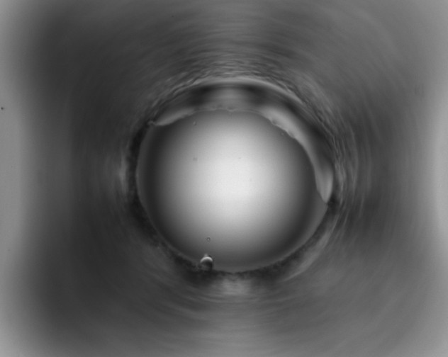X0000092230416200709141109