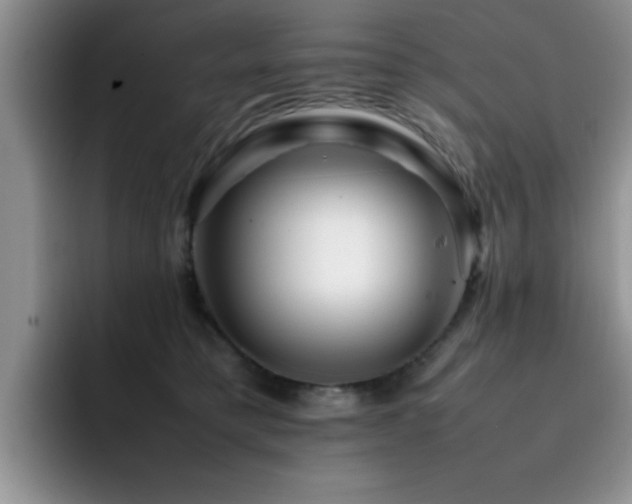 X0000092230421200709141109