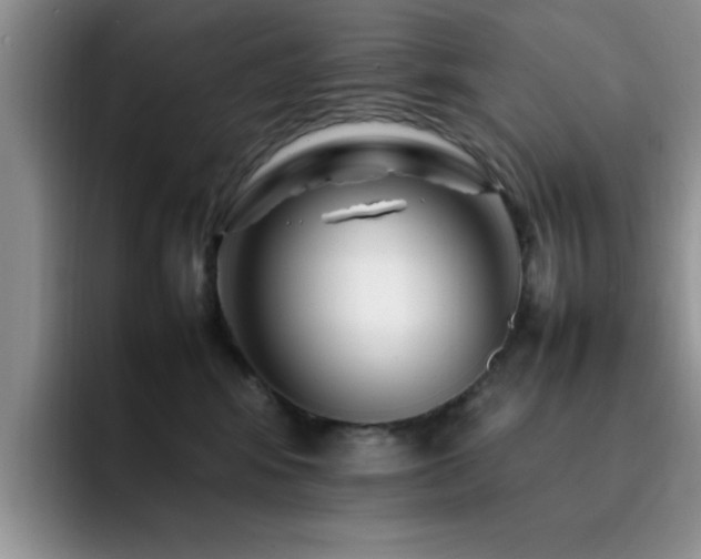 X0000092230424200709141109