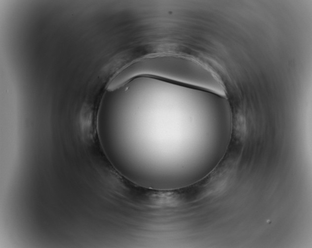 X0000092230428200709141109