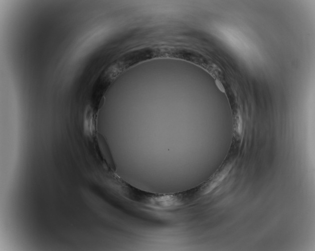 X0000092230431200709141109