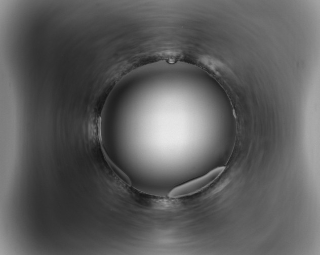 X0000092230432200709141109