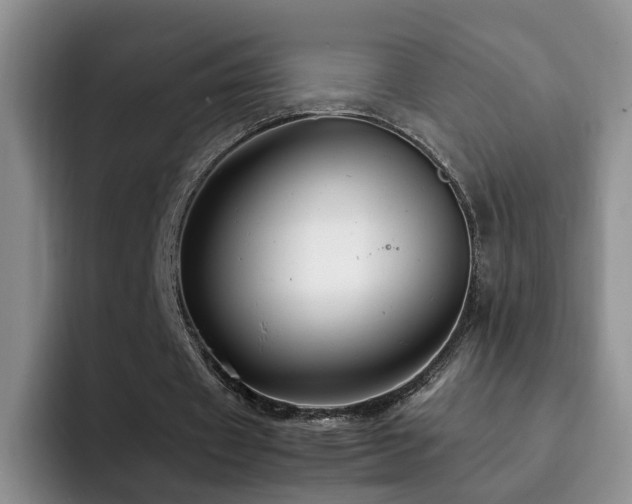 X0000092230433200709141108