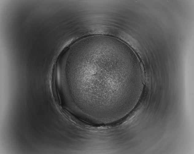 X0000092230434200709141108