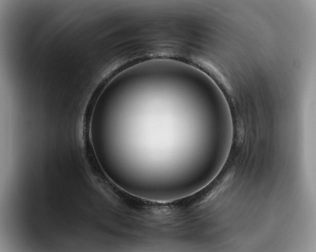 X0000092230439200709141108
