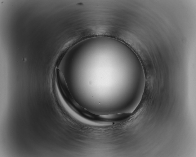 X0000092230442200709141108