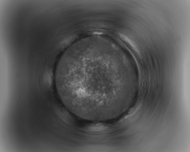 X0000092230451200709141108