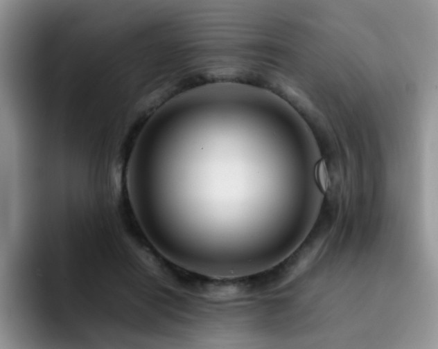 X0000092230454200709141109