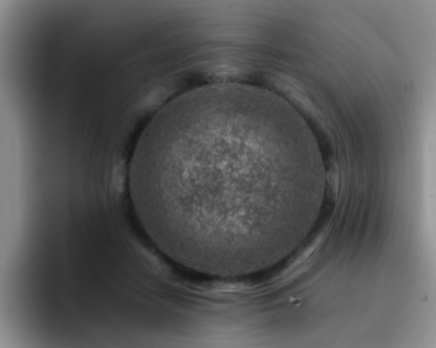 X0000092230458200709141109