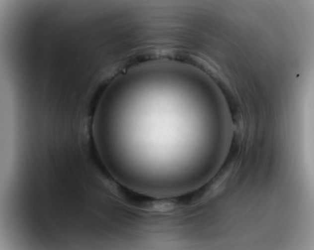 X0000092230462200709141109