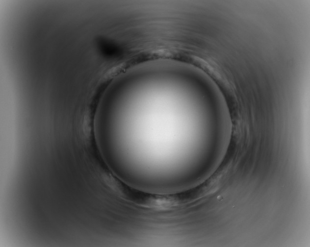 X0000092230466200709141109