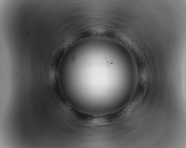 X0000092230468200709141109