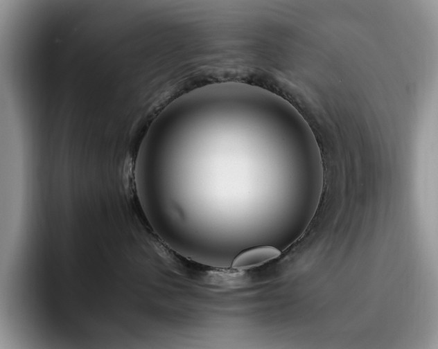 X0000092230480200709141109