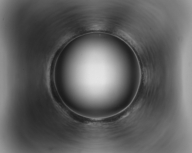 X0000092230482200709141108