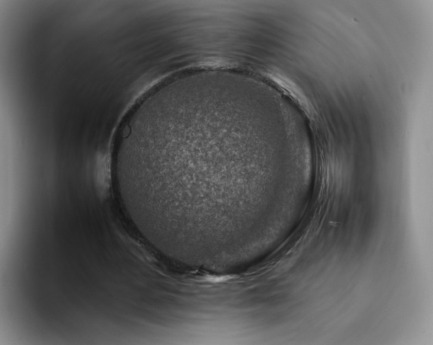 X0000092230484200709141108