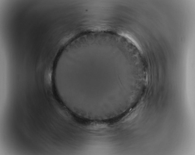 X0000092230491200709141108