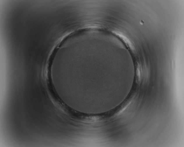 X0000092230492200709141108