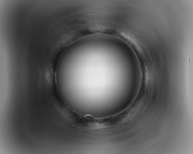 X0000092230498200709141108
