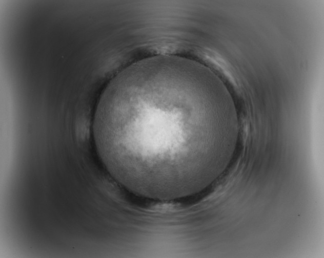 X0000092230499200709141108