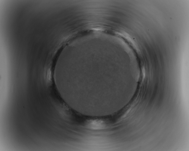 X0000092230500200709141108