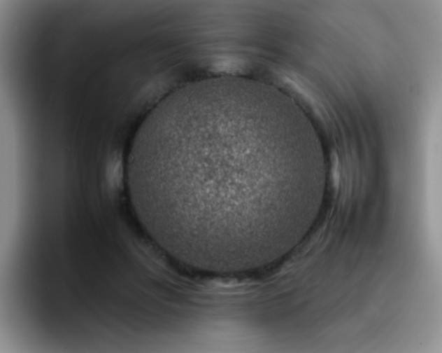 X0000092230502200709141108