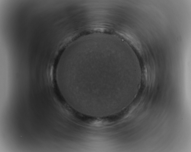 X0000092230504200709141108