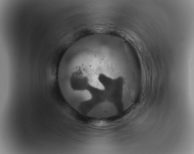X0000092230507200709141108