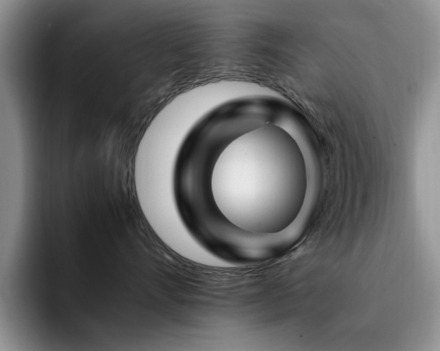 X0000092230528200709141108