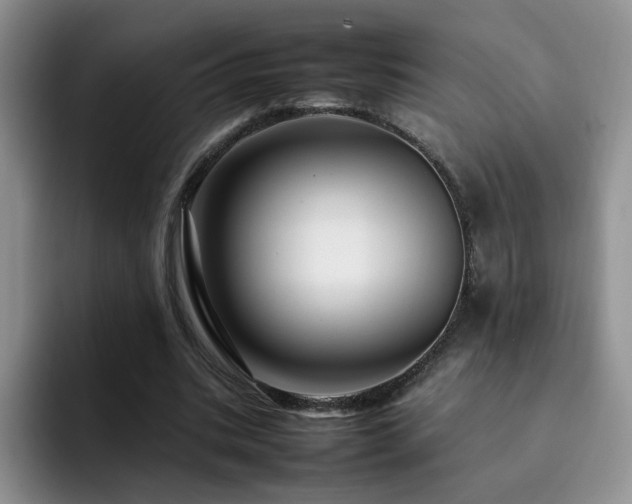 X0000092230535200709141107