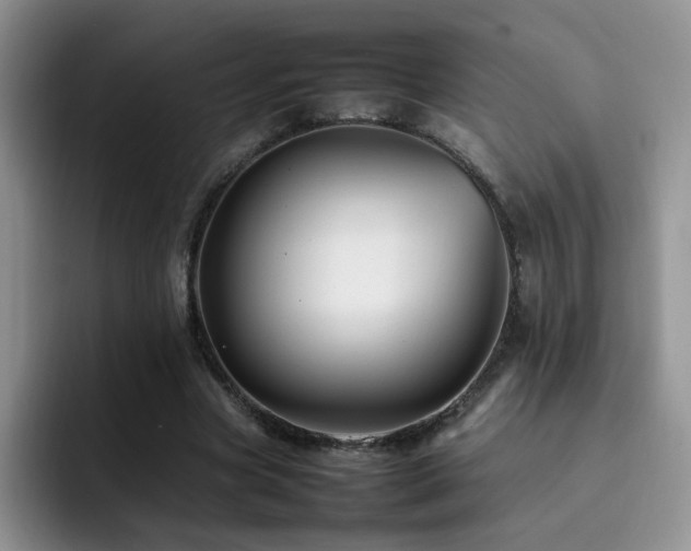 X0000092230537200709141107