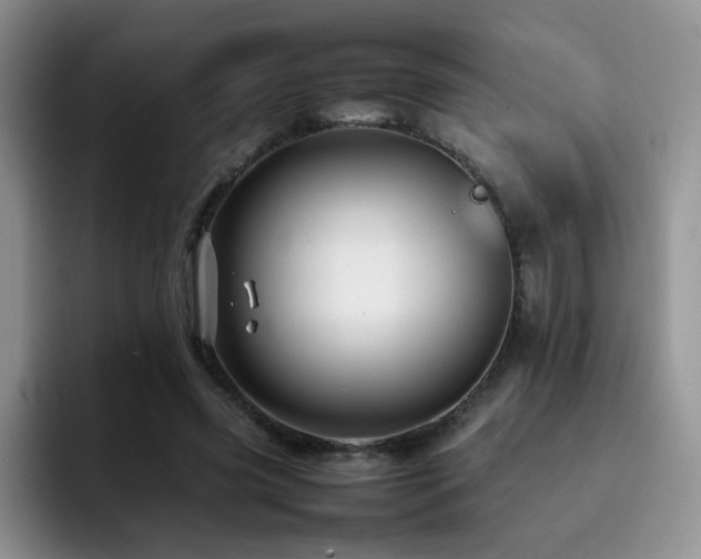 X0000092230541200709141107