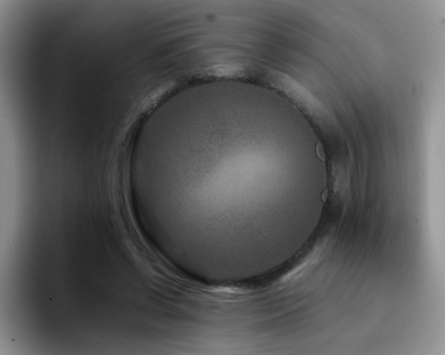 X0000092230542200709141107