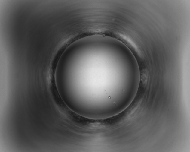 X0000092230544200709141107