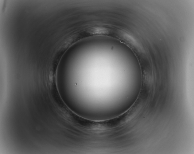X0000092230549200709141107