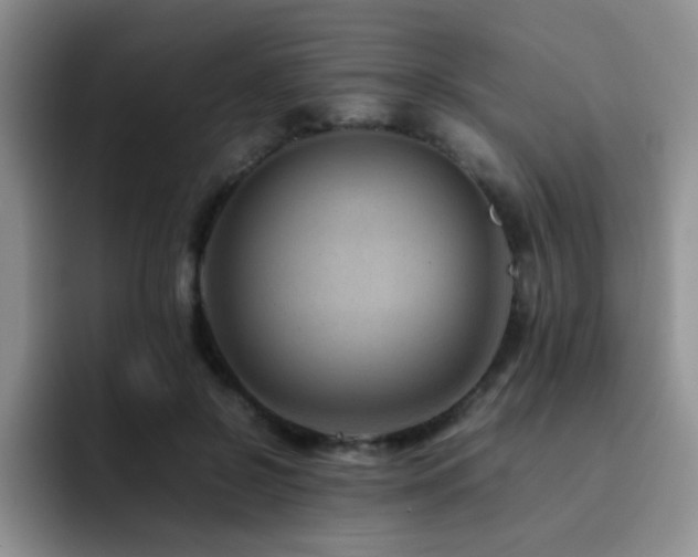 X0000092230550200709141107